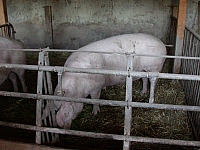 020723_007.JPG