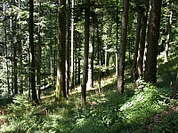 020723_048.JPG
