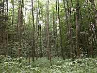 020725_010.JPG