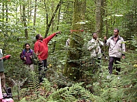 020725_019.JPG