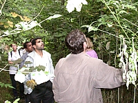 020726_057.jpg