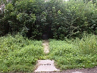 020726_058.jpg