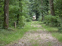 020726_088.jpg