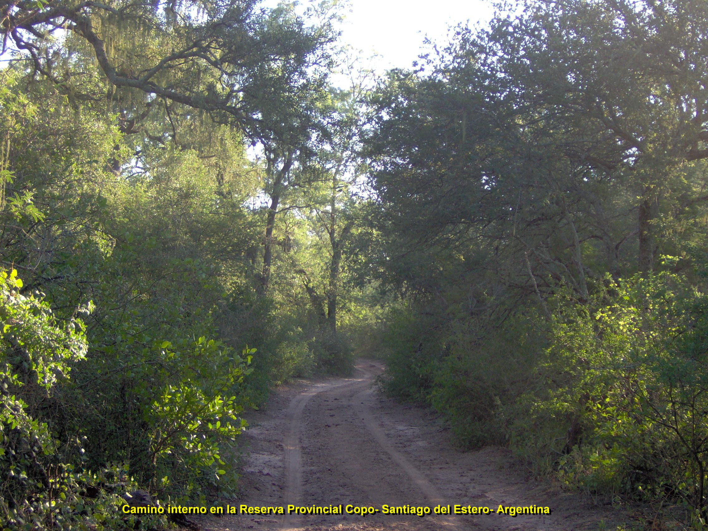 Reserva Provincial Copo- Santiago del Estero