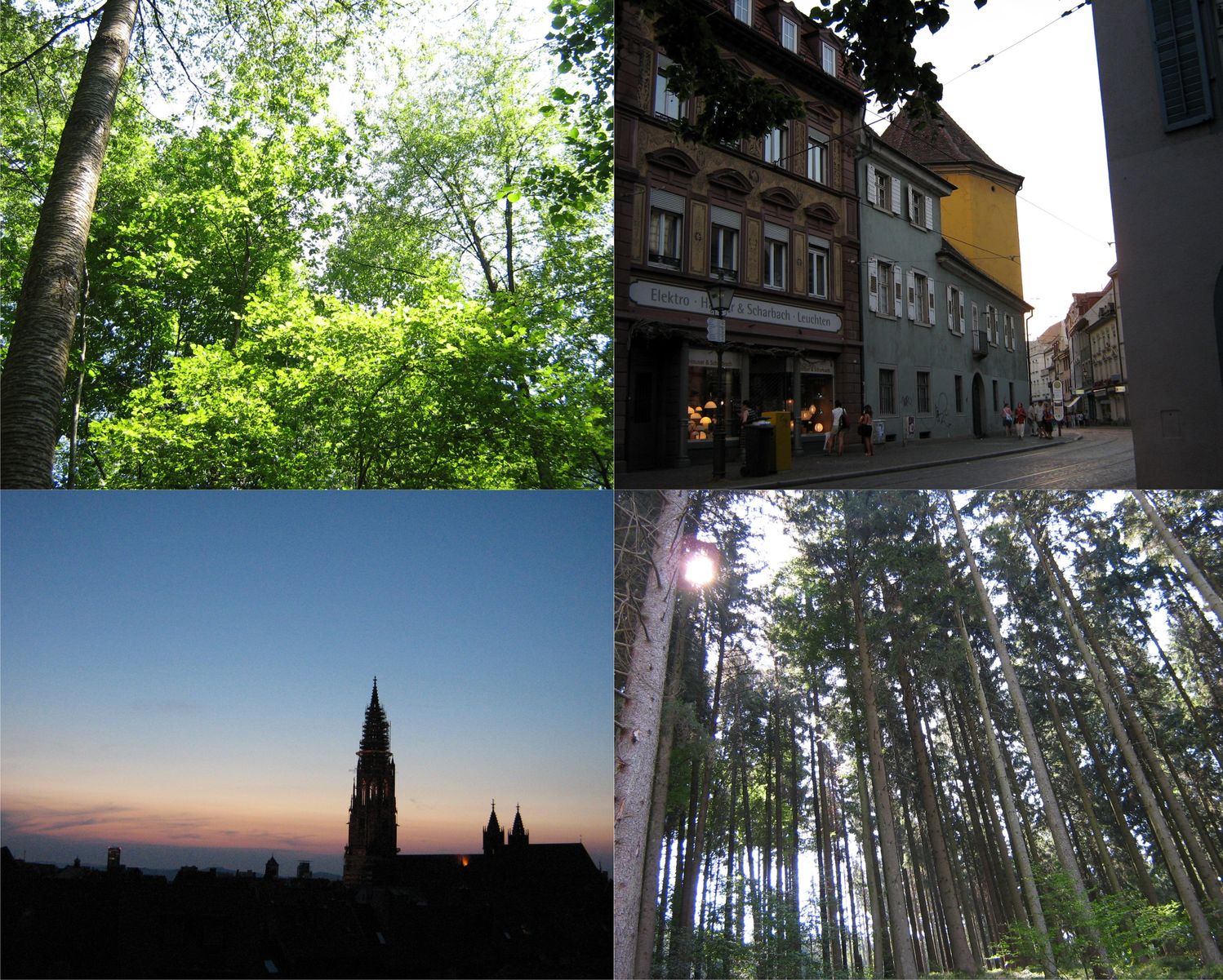 Landscapes in Black Forest and other areas