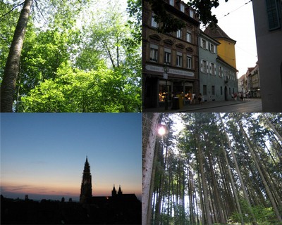 Landscapes in Black Forest and other areas