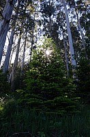 DSC_1814.JPG DSC_1814.JPG