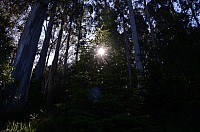 DSC_1815.JPG DSC_1815.JPG
