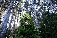 DSC_1819.JPG DSC_1819.JPG