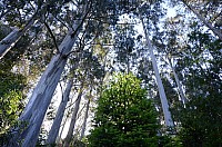 DSC_1825.JPG DSC_1825.JPG