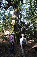 DSC_1838.JPG DSC_1838.JPG