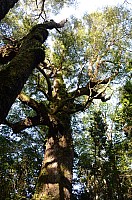 DSC_1843.JPG DSC_1843.JPG