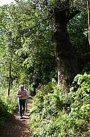DSC_1856.JPG DSC_1856.JPG