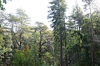 DSC_1864.JPG DSC_1864.JPG