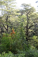 DSC_1865.JPG DSC_1865.JPG