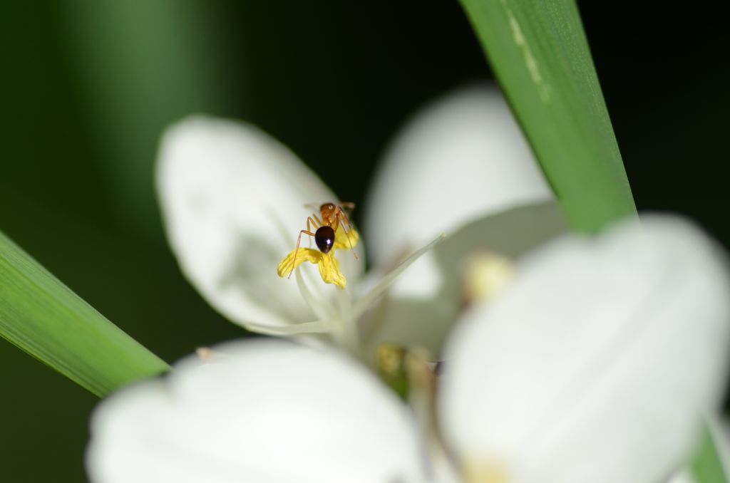 DSC_2004.JPG