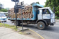 DSC_1877.JPG DSC_1877.JPG