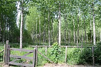 DSC_1888.JPG DSC_1888.JPG