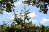 DSC_1931.JPG DSC_1931.JPG