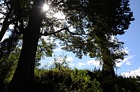 DSC_1933.JPG DSC_1933.JPG