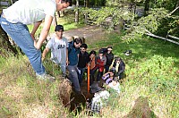 DSC_1944.JPG DSC_1944.JPG