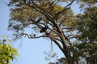 DSC_1963.JPG DSC_1963.JPG