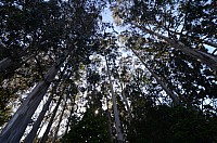 DSC_1986.JPG DSC_1986.JPG