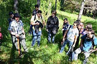DSC_1990.JPG DSC_1990.JPG