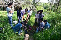 DSC_1995.JPG DSC_1995.JPG