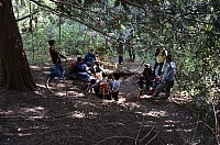 DSC_2132.JPG DSC_2132.JPG