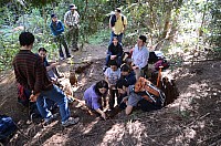 DSC_2133.JPG DSC_2133.JPG