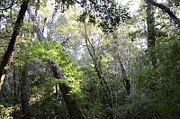 DSC_2140.JPG DSC_2140.JPG
