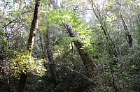 DSC_2141.JPG DSC_2141.JPG