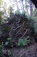 DSC_2142.JPG DSC_2142.JPG