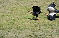 DSC_2198.JPG DSC_2198.JPG