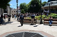 DSC_2211.JPG DSC_2211.JPG