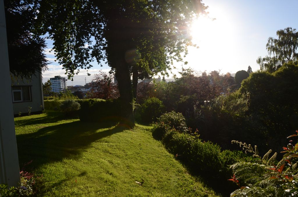 DSC_2338.JPG