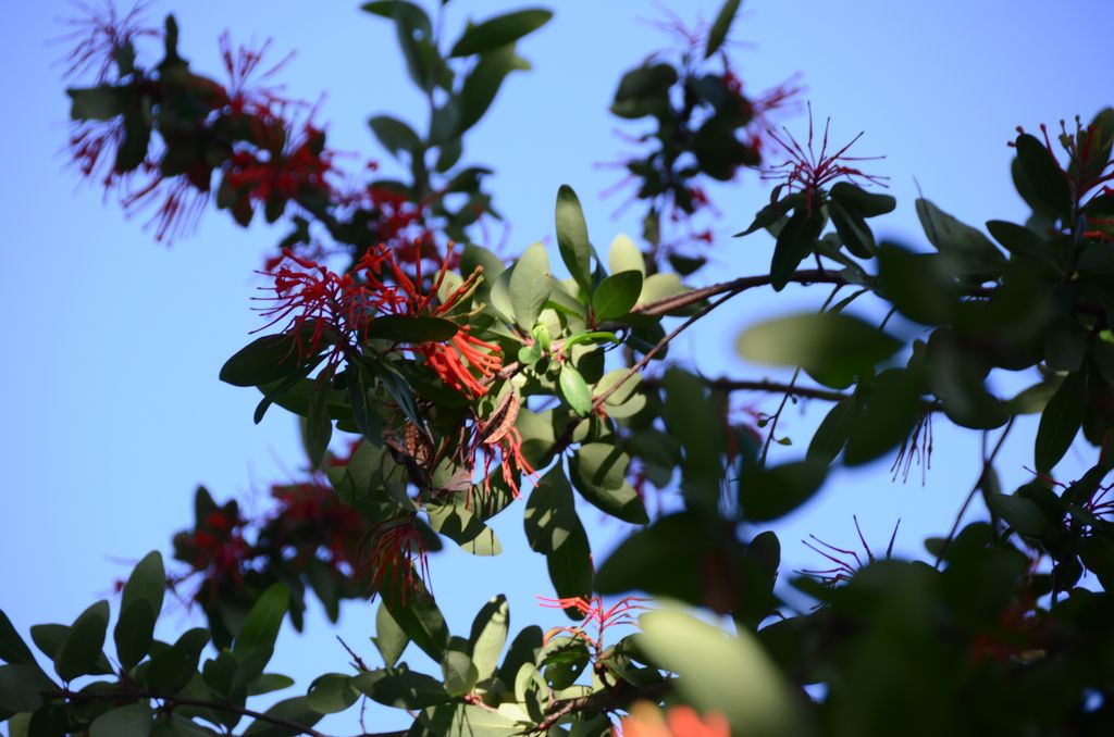DSC_2355.JPG