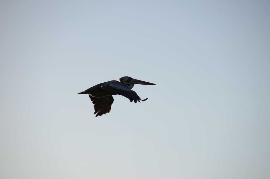 DSC_2358.JPG