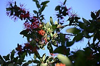 DSC_2355.JPG