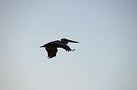 DSC_2358.JPG