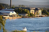DSC_2394.JPG