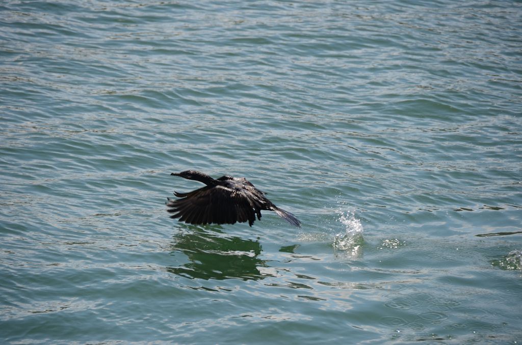 DSC_2448.JPG