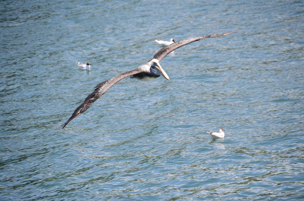 DSC_2456.JPG