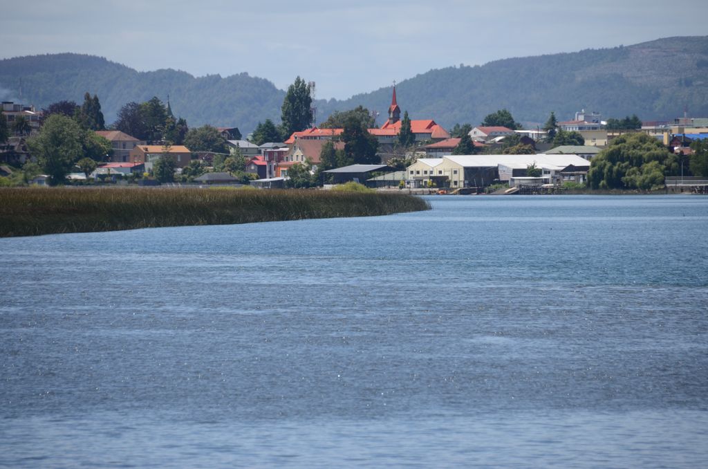 DSC_2583.JPG