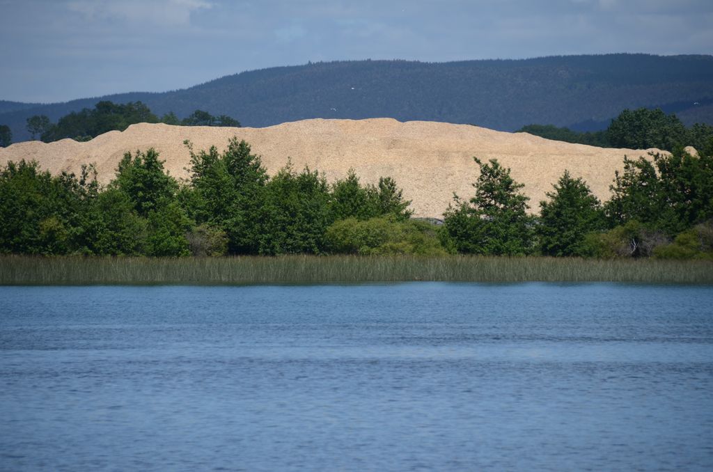 DSC_2588.JPG