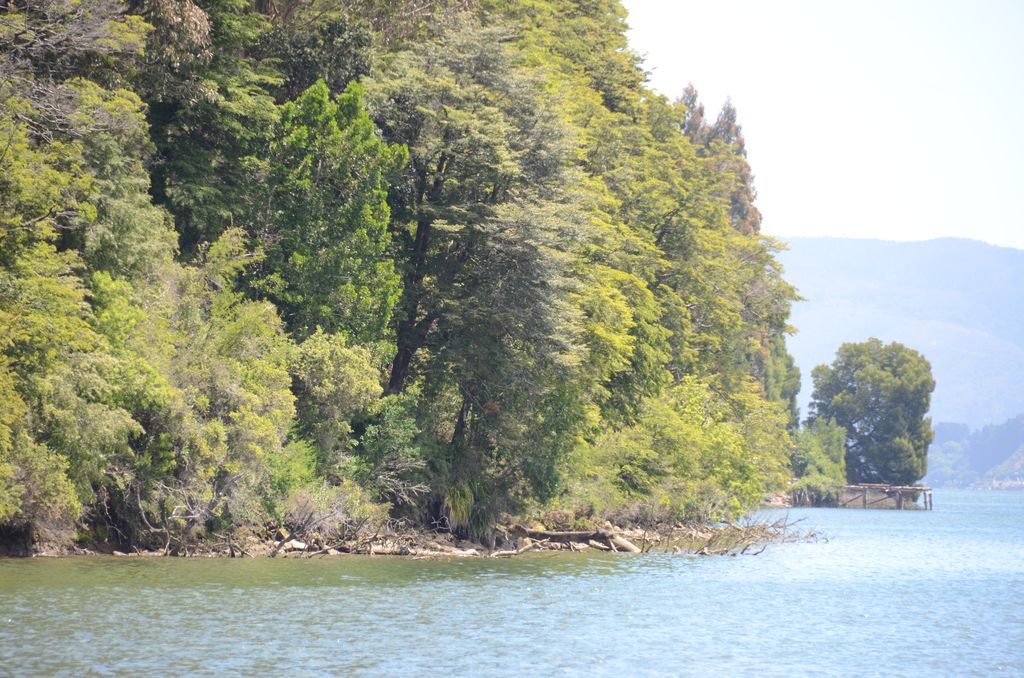 DSC_2647.JPG