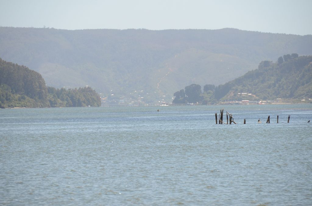 DSC_2649.JPG