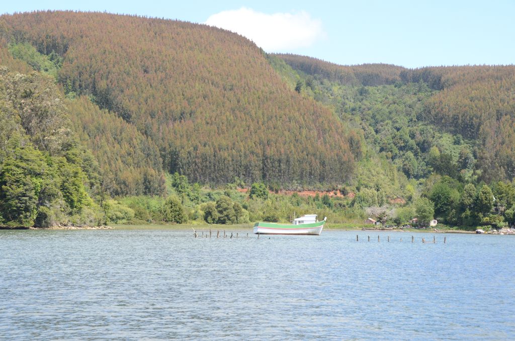 DSC_2653.JPG