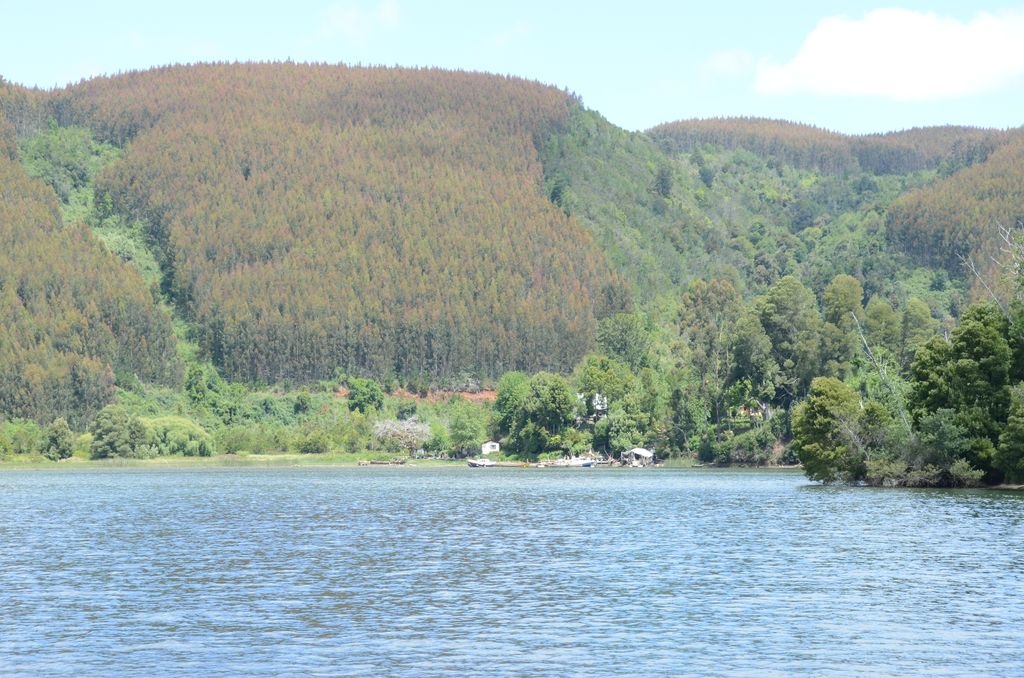 DSC_2657.JPG